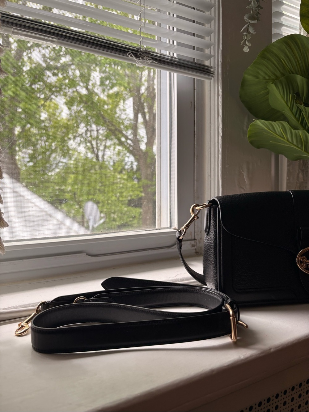 Coach Georgiana in Black Pebble Leather & Gold Hardware - Picture 9 of 9